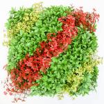 Artificial Uv Resistant Fire Resistant Plant Wall Panel For House Decoration for sale