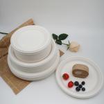 9 Inch Eco Biodegradable Bagasse Tableware 10in Round Sugarcane Waste Plates Pulp Molded for sale