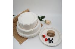 China 9 Inch Eco Biodegradable Bagasse Tableware 10in Round Sugarcane Waste Plates Pulp Molded supplier