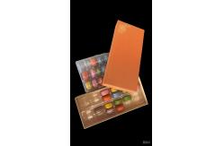 China Plastic Macaron Packaging Protecting and Presenting Delicate Pastries for Your Business Needs supplier