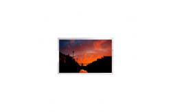 China New a-Si TFT lcd Module TL110VVMS05-00C 11.0 inch lcd display supplier