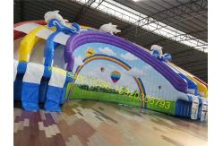China rainbow giant water slide with pool supplier
