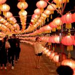 Steel Frame Chinese New Year Lantern Art For Festival Decoration for sale