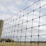 High Strength Galvanized Fixed Knot Cattle Fence Metal Iron for sale