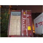 Summit Container Loading Inspection with English Report language