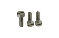 China M1-M10 Polished Titanium Slotted Cheese Head Machine Screws for Hardware Applications supplier