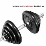 Anti Rust Cast Iron 25kg 5Kg Bumper Weight Plates for sale
