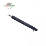 Diesel Fuel Injector EJBR04001D 166009384R for Delphi Engine