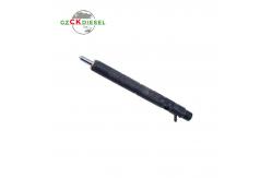 China Diesel Fuel Injector EJBR04001D 166009384R for Delphi Engine supplier