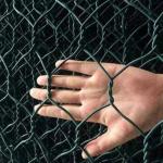Pvc Coated 2mm Gabion Mesh Basket Hexagonal Wire Walls for sale