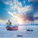International Sea Freight Forwarding DDP From China To New Zealand for sale