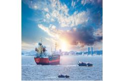 China International Sea Freight Forwarding DDP From China To New Zealand supplier