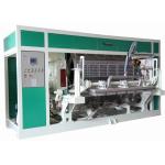 Fully Automatic Pulp Molding Equipment , High Efficiency Egg Tray Production Line