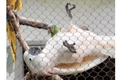 China 2.0mm Aviary Mesh Netting Stainless Steel Wire Mesh For Bird Cages supplier