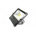 RGB 30W Spot Light AC100-277V Floodlight Fixtures for Park and Garden for sale