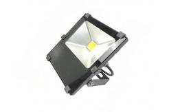 China RGB 30W Spot Light AC100-277V Floodlight Fixtures for Park and Garden supplier