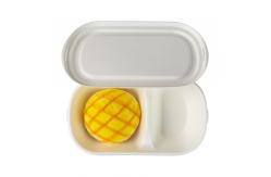 China brown Biodegradable Sugarcane Tableware Sugarcane Bagasse Takeaway Containers supplier