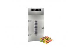 China Industrial Large Capacity Fruit And Vegetable Drying Oven Hot Air Drying Circulation Oven supplier
