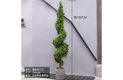 China Fire Proof S Shape Artificial Boxwood Plants For Decoration supplier