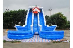 China 2018 Hot Sale Inflatable Bear Water Slide With Double Lanes With Pool supplier