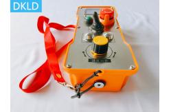 China Industrial Wireless Remote Control supplier