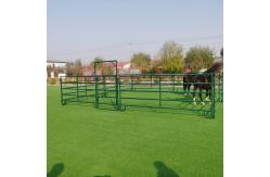 China 12FT Corral Fence supplier