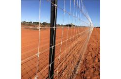 China Galvanized Steel Cattle Fence Netting High Tensile Wire Weatherproof Security supplier