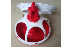 China Five grid feeding trays for the ducks supplier