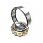 NF311EM Cylindrical Roller Bearing Size 55*120*29mm for sale