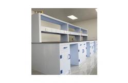 China Cabinet Customized Polypropylene Lab Bench Durable High Performance supplier