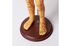 China Acupuncture Needles Practice Model For Safe And Precise Training supplier