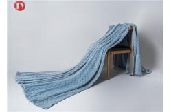 China 100% Polyester Super Soft Flannel Blanket , Micro Fleece Fish Scales Embossed Blanket supplier