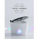 Siphon Flushing Smart Flush Toilet One Piece Intelligent Self Washing for sale