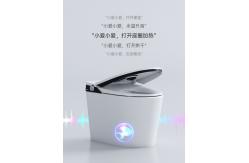 China Siphon Flushing Smart Flush Toilet One Piece Intelligent Self Washing supplier