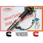 Fuel Injector Assembly 2867147 2882077 4955524 Y431KO5393 2882078For Qsk19 Engine