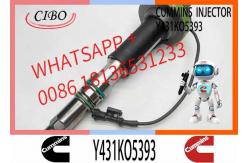 China Fuel Injector Assembly 2867147 2882077 4955524 Y431KO5393 2882078For Qsk19 Engine supplier