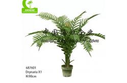 China Fire Proof 150cm Height Artificial Drynaria Tree Real Wooden Trunk supplier