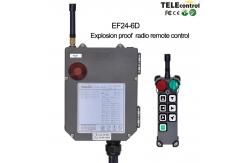 China EF24-6D Radio Remote Control System Flame Proof For Explosion Risk Area supplier