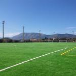 High Standard Football Artificial Turf 45mm 150 Stitches/M Dark Green Artificial Grass Low Maintenance for sale