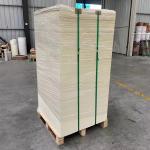 Waterproof PE Coated Paper Cup Sheet Eco Friendly Biodegradable Fans for Flexo Offset Printing