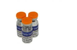 China HG 2ML / 3mL / 5mL / 10mL Personalised Bottle Labels Custom Hologram Stickers supplier