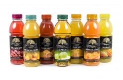 China 5 - 50T/H Pineapple Juicer Machine Pineapple Processing Line For Concentrated Juice supplier