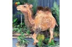 China Artificial Realistic Animatronic Animals Customized Size Camel Controlled Remotely supplier