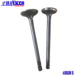 Electronic Four Cylinder Diesel Engine Valve Intake Electronic Isuzu 6RB1 for sale