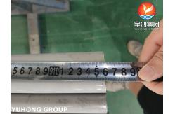 China ASTM A213 TP347 1.4550 Seamless Tube For Boiler And Heat Exchanger supplier