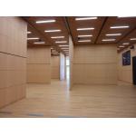 Vertical Folding Sliding Sound Proof Operable Partition Walls For Residential