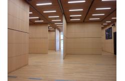 China Vertical Folding Sliding Sound Proof Operable Partition Walls For Residential supplier