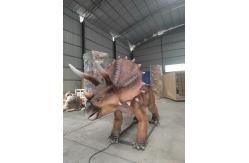 China Jurassic Park Animatronic Triceratops Model 5m supplier