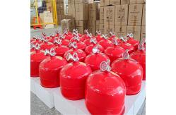 China Hanging FM200 Fire Extinguisher Kit With Red Carbon Steel Cylinder Brass Valve supplier