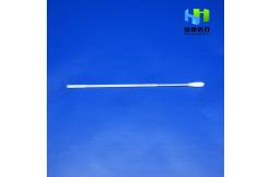 China Medical Oral Disposable Sampling Swab With Break Point supplier